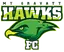 Mount Gravatt Hawks