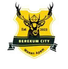 Berekum City Berekum City