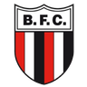 Botafogo-SP Youth