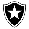 Botafogo RJ Youth