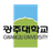 Gwangju University