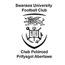 Universidade de Swansea