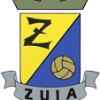 Zúia de Futebol
