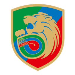 Miedź Legnica