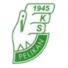 Pelikan Lowicz