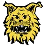 Ilves Tampere II