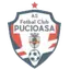 FC Pucioasa