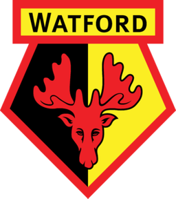 Watford Sub-21