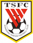 Shandong Luneng Taishan Football School
