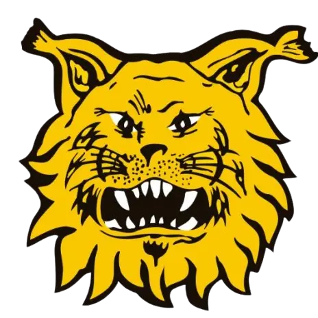 FC Ilves U21