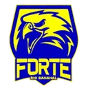 Forte FC