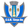 CSM Targu Jiu