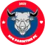 Parintins FC