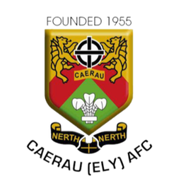 Caerau Ely