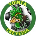 Vointa 2024 Crevedia