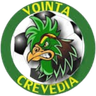 Voința 2024 Crevedia