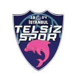 Telsizspor Femenino