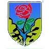 ASD Seravezza Calcio