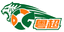দংগুয়ান টিম