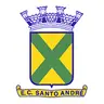 Juvenil de Santo André