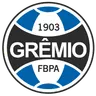 Gremio Youth