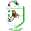 Fortune FC
