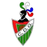CD Guarnizo