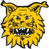 Ilves/2 (w)