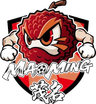 Equipo de Maoming