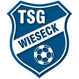 TSG Wieseck Sub-17