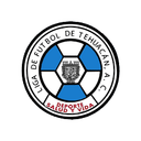 Liga de Futebol de Tehuacán