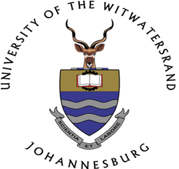 Universidade Wits