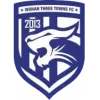 Wuhan Three Towns Sub-15