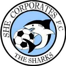 She Corporate Women