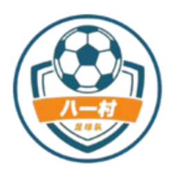 Shanghai Jinshanwei Bayi Village Football Team