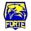 Forte FC Sub-20 Forte FC Sub-20