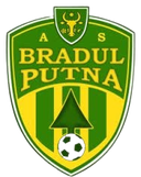 Bradul Putna