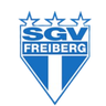 SGV Freiberg Sub-19