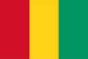 गिनी
