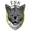 ŽNK Radomlje Femenino