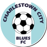 Charleston City Blues