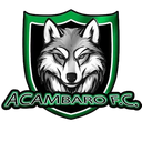 Acámbaro FC
