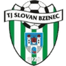 Bzenec