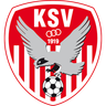 Kapfenberg SV 1919