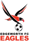 Edgeworth Eagles Reservas
