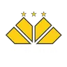 Criciuma SC Youth