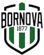 Bornova 1877 SK