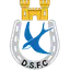 Dungannon Swifts