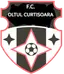 Oltul Curtisoara