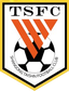 Shandong Taishan Sub-17